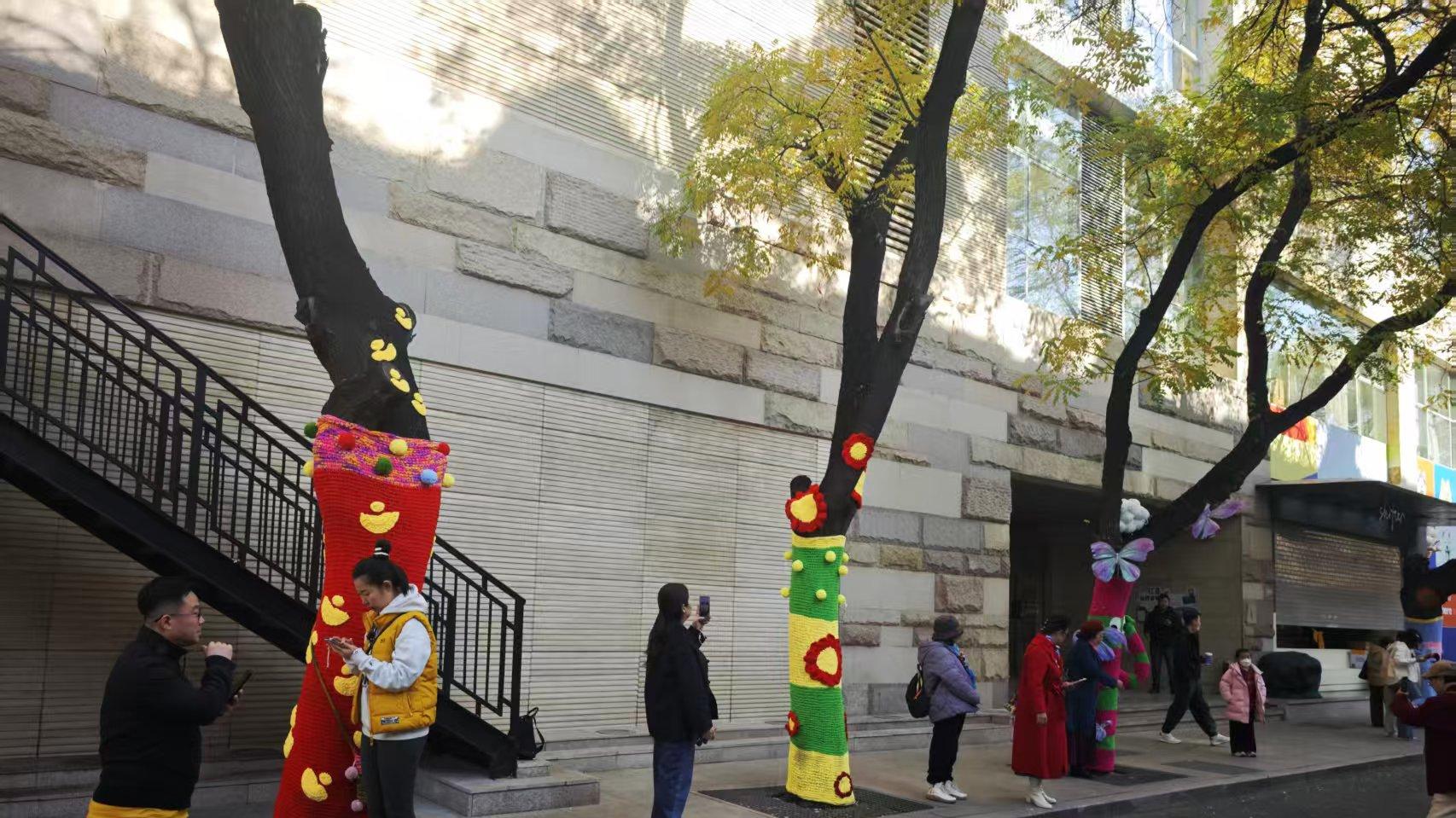 北京这条胡同火出圈，大树穿上了彩色毛衣