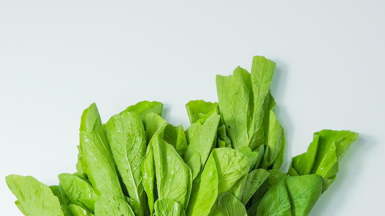 ​贡乃烤鸡换季暖身饮食指南，番茄蛋汤菠菜小炒都安排好