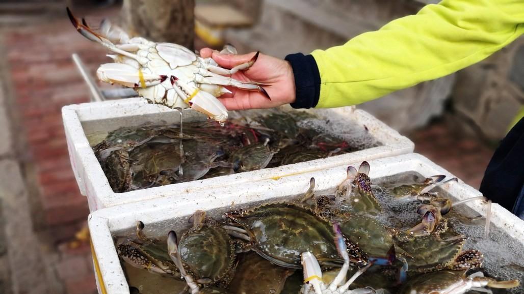 中国哪里的梭子蟹最好吃？经过评比，这8个地方上榜，有你家乡吗