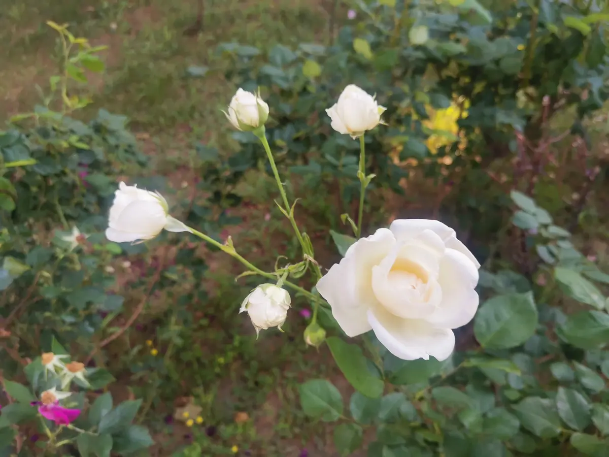 人生真正的自我救赎