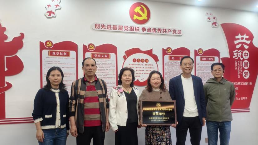 合肥畅想照明当选安徽省黄金珠宝首饰行业商会第四届理事单位 开启 “光 + 珠宝” 跨界融合新征程​