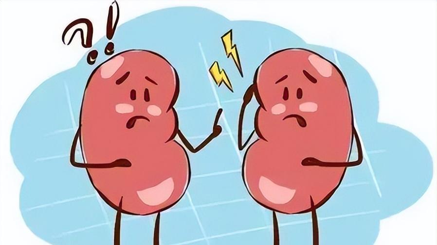 "尿素高"不是小问题！体检报告上的数字，可能悄悄伤害你的肾脏
