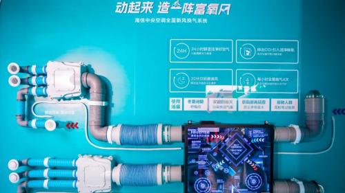 103名海信空气人集体开跑，用脚步丈量“好空气”的征程