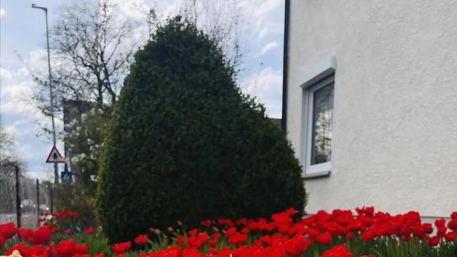 德国拥有的一些让外国人羡慕的优点