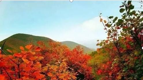 荆紫仙山，“仙”在何处？