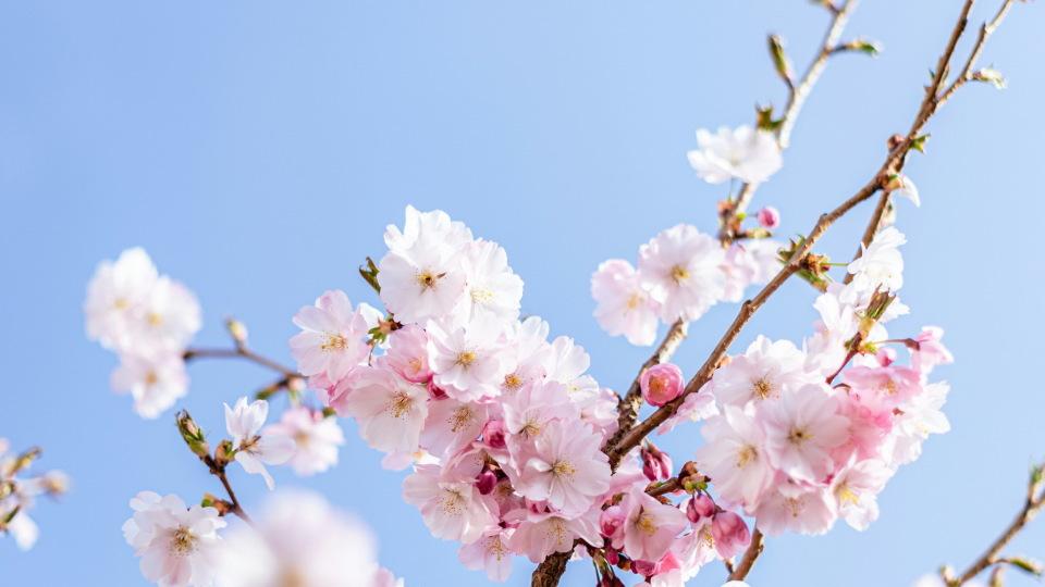 养女给我买养老房，乔迁喜宴上，妯娌说这福气原本是她的，我笑了