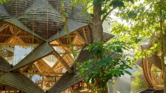 印尼乌拉曼生态豪华度假村：Inspiral Architecture的杰作