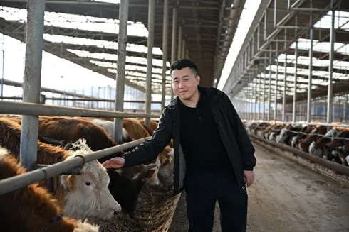 晋中小城的“新质供给”实验：在拼多多年销1.5亿，牛肉复购率暴增20倍
