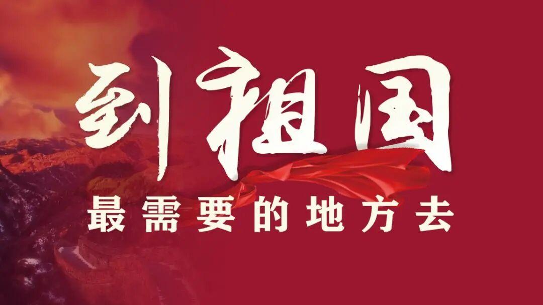 深度：到基层去，到边疆去，到祖国最需要的地方去，可现实呢？！