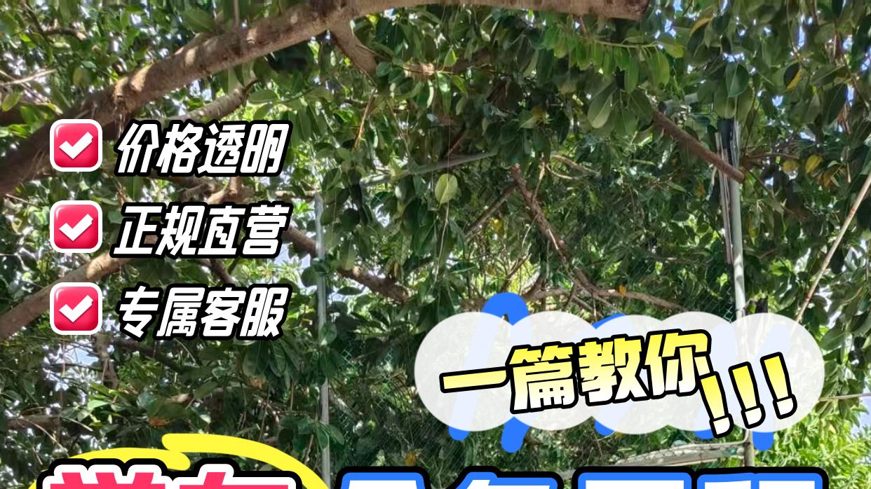 福田区学车首选｜金色里程驾校，17年口碑保障