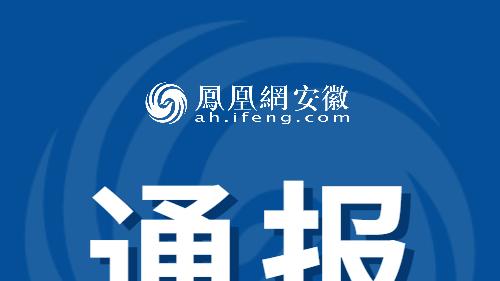 城管局副局长疑酒后袭警，被拘、被停职！安徽阜南官方通报→