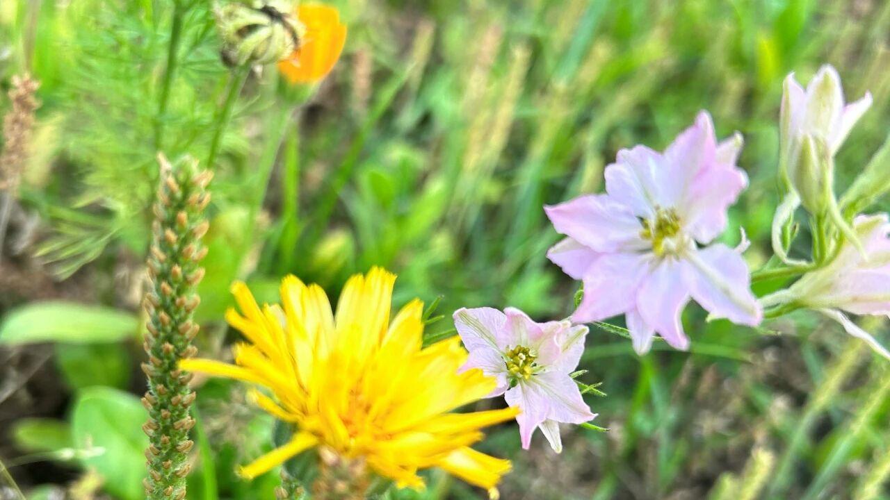 婚后，女人有的苦别硬吃，亏得是自己