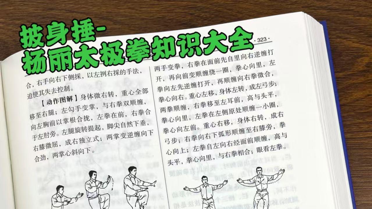 披身捶-杨丽太极拳知识大全