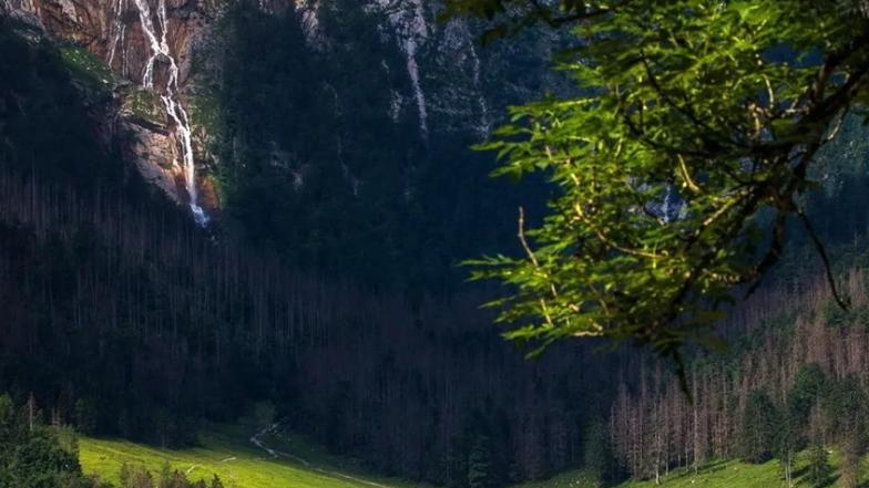 随便去哪也可以