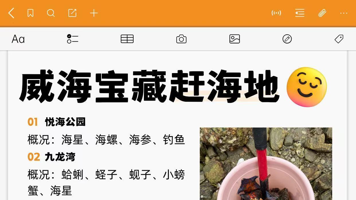 威海赶海刚回，呈上J人朋友详写的保姆级旅行攻略