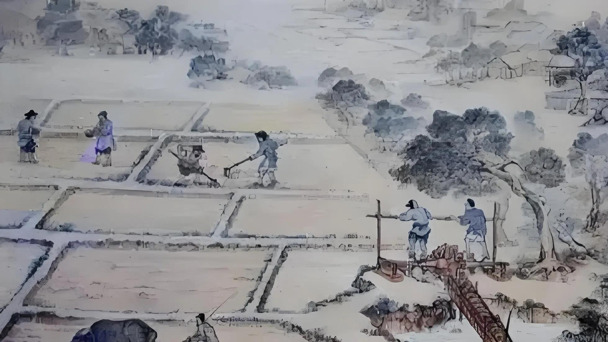 初税亩：春秋时期土地税制改革的里程碑