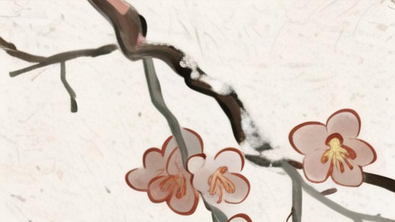 在无常的裂缝里，寻找生命的光亮
