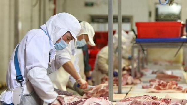 军队食堂如“草场”，发达国家韩国，在吃肉上只有嫉妒中国的命