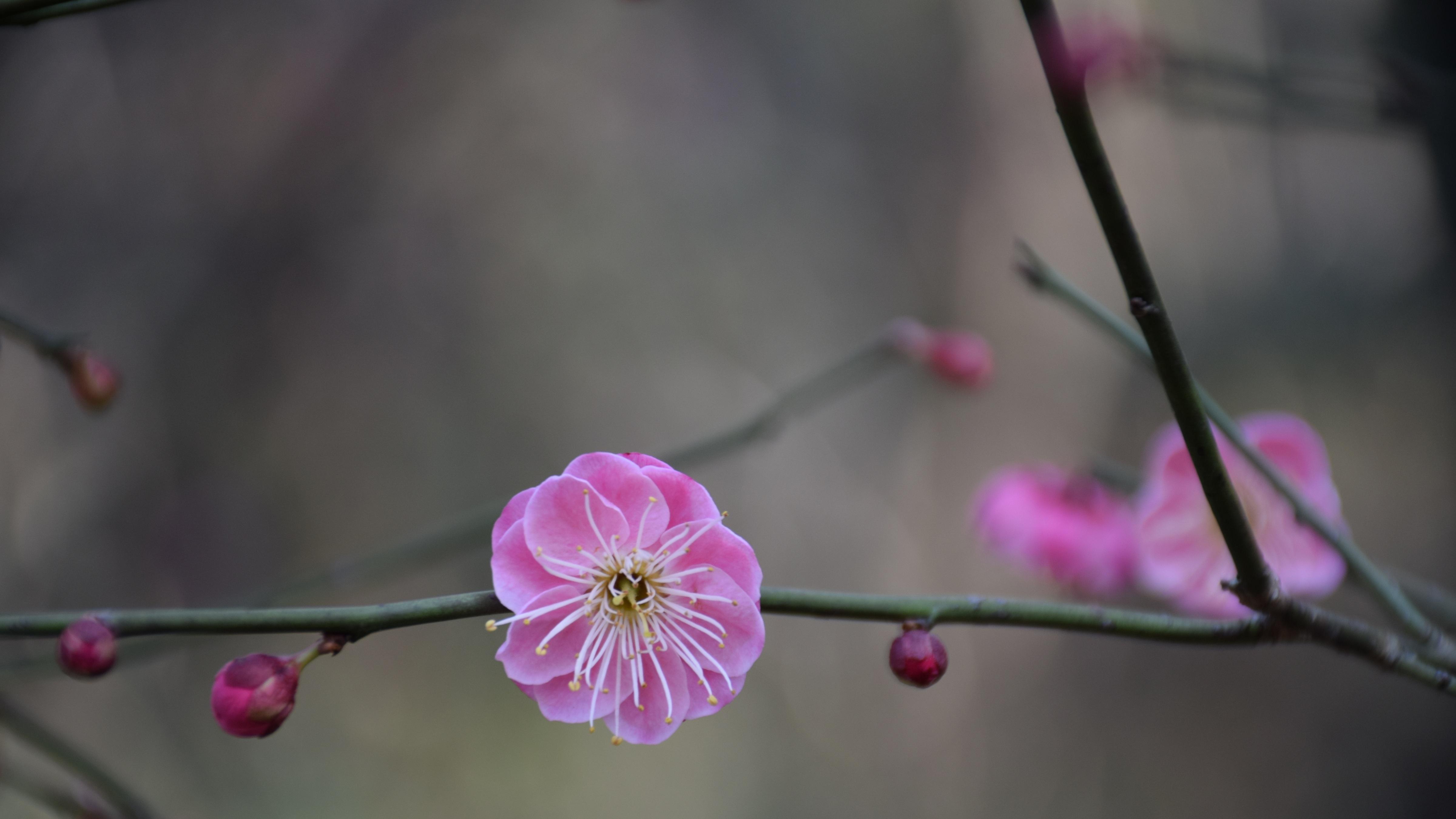 仰望星空，也是在刷新生活方式