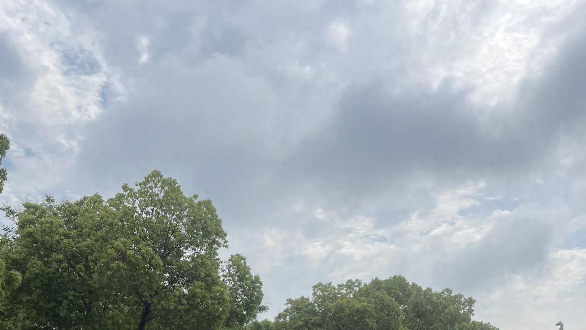 18万，2019款混动本田艾力绅，奶爸首选家用MPV