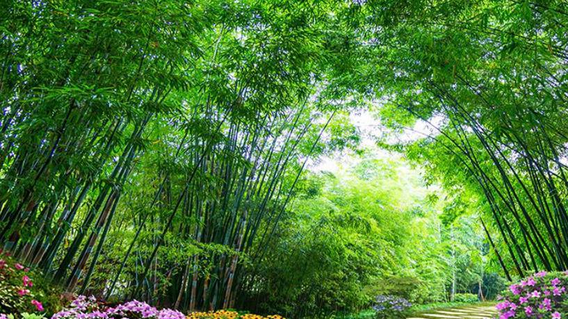 全职儿女”亮相：是新型啃老还是理性选择？