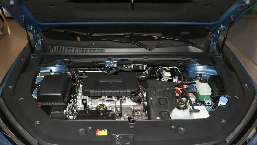 9.98万元起售，两种纯电续航可选，露营帮手“水桶车”说的就是TA