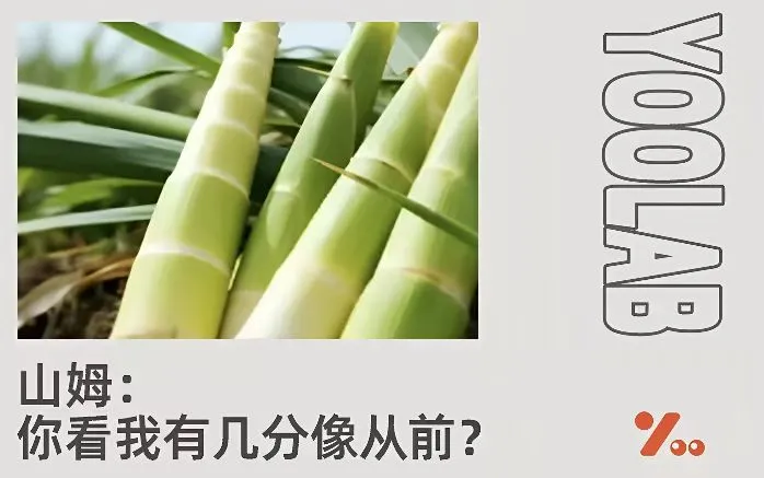 点进山姆还以为是拼多多？山姆App更新被群嘲，中产标配变味？