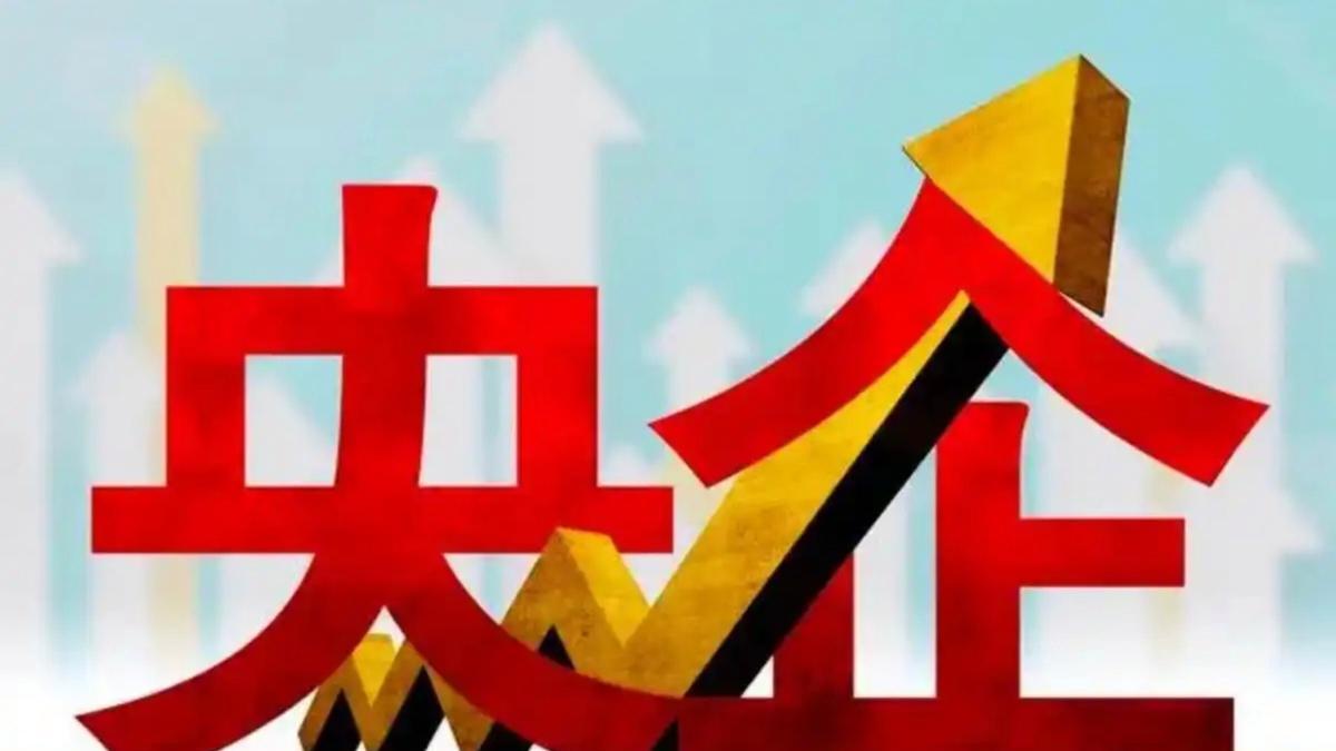 央企 “管培生” 岗位与普通正式编制岗在培养路径、晋升速度上有何核心不同？