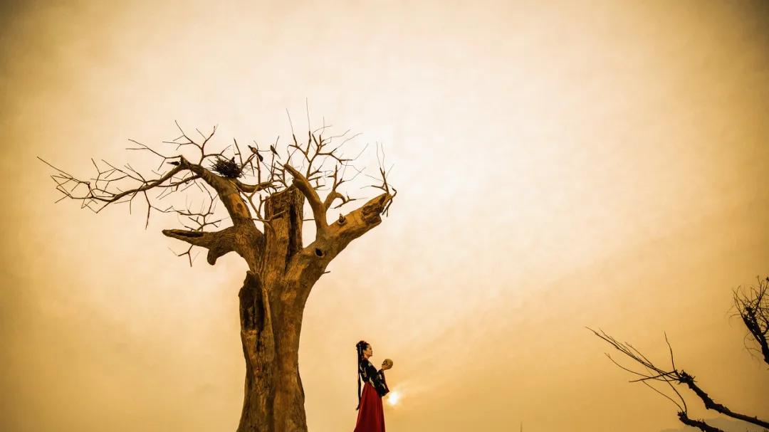 千万不要低估一个读过《孙子兵法》的女人