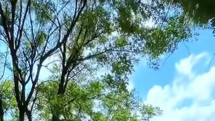 这事咋整？今儿个回娘家，真是怪事连连