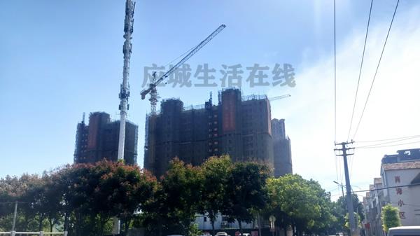 应城长河云著2024年10月份进展