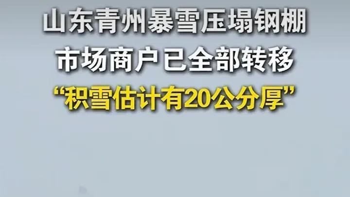 青州暴雪突袭，花卉市场大棚坍塌，谁来买单？