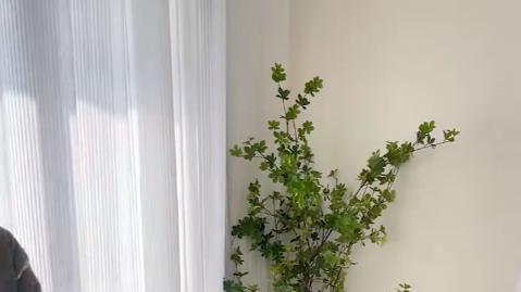 “新型可折叠餐桌”悄悄流行，年轻人为啥都选它？太聪明了！