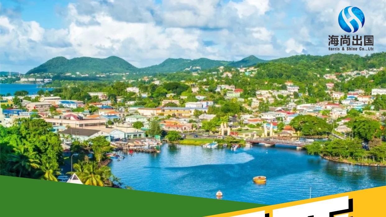 圣卢西亚移民费用 优质项目满足高净值人群发展需求