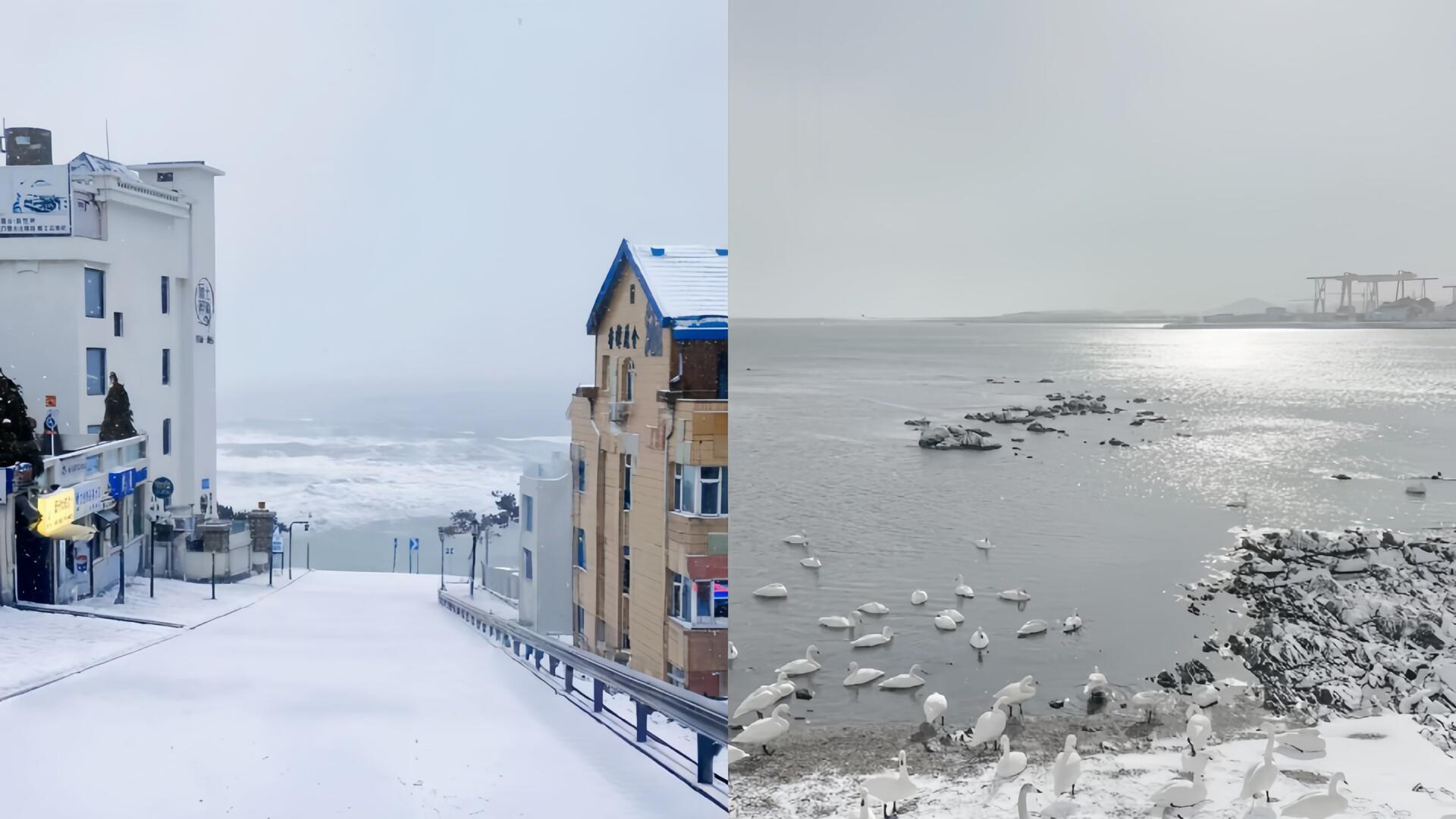 11月-12月是威海旅行，威海美食指南