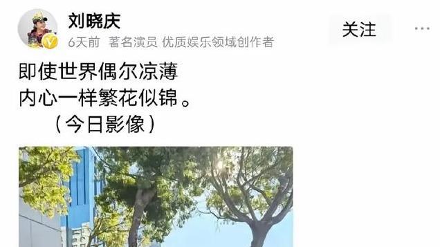 向太和倪萍唇枪舌战，互怼“恶霸”，倪萍口碑一落千丈