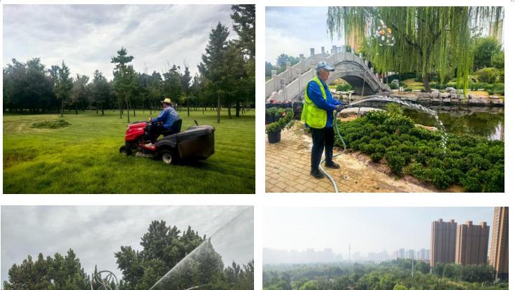 迎双节、促提升，保定市植物园打造高颜值园林景观等您打卡