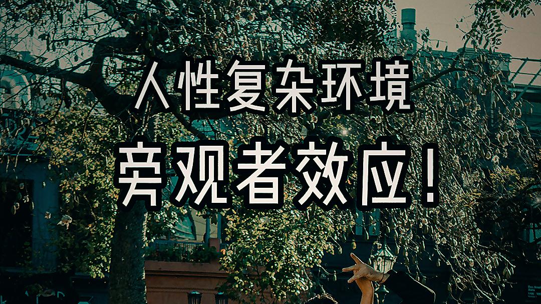 人性复杂环境 旁观者效应！