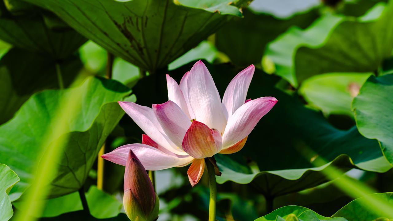 富人永远都在“卖”