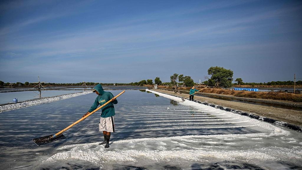 网上一个段子火了，难道农民稻子也要分三六九等卖吗？