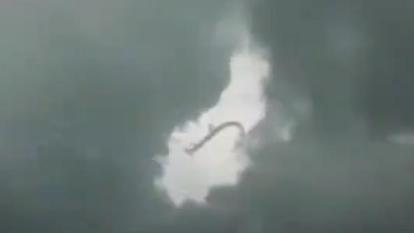 五城惊现 “龙影”：科学与传说的世纪对话