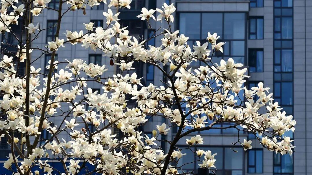 家庭最大悲哀，不是没钱，是爸妈 60 岁了还在干这3件事！