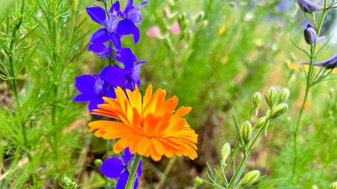 中年女人，在婚姻中，别把丈夫看得太重