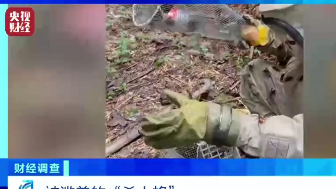 别让滥养“杀人蜂”变成“毒产业”