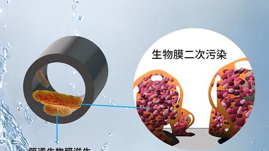 食品车间生产用水管道生物膜清除效果的科学判断方法