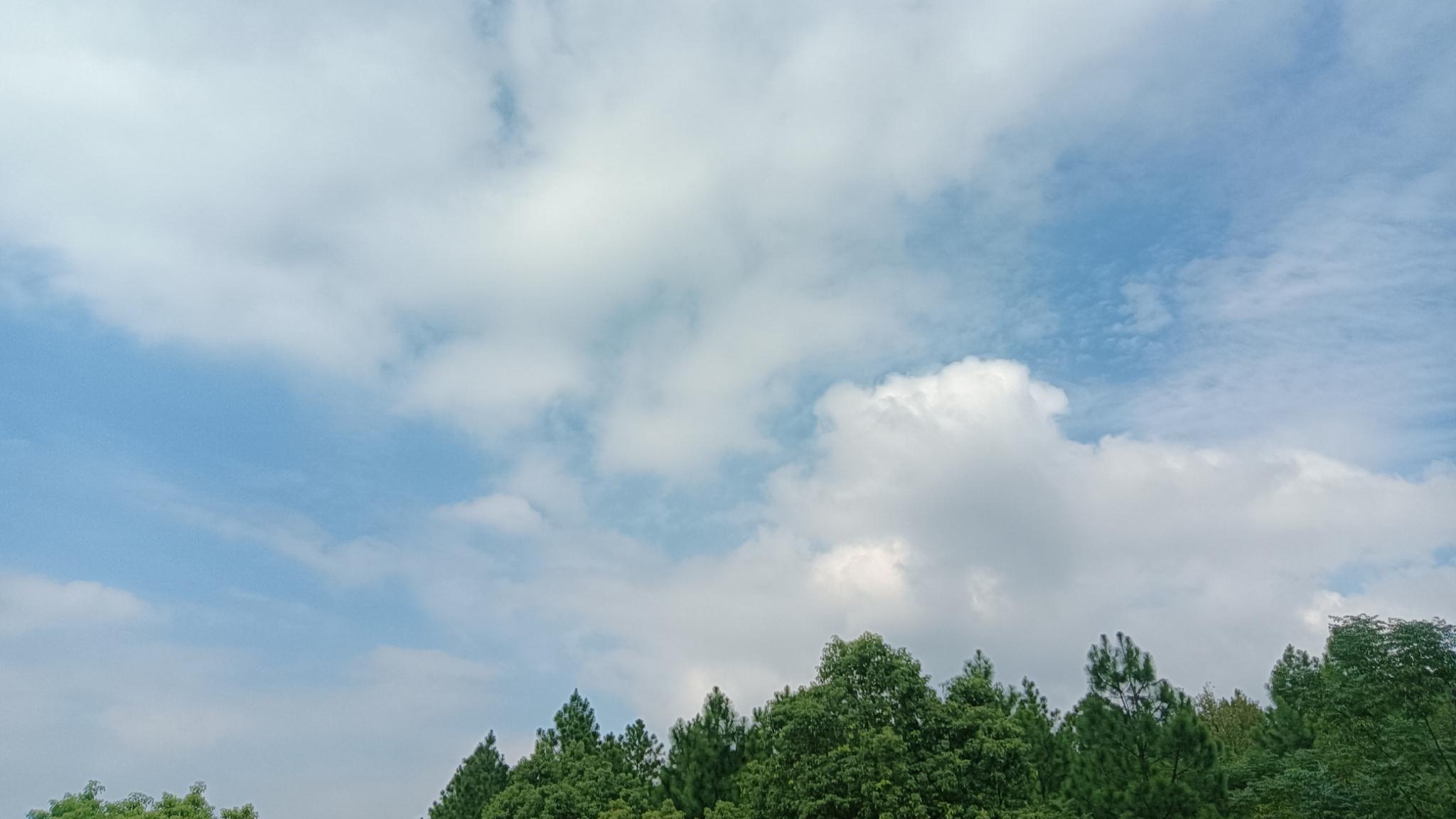 终于还是有学校维护了教育应有的正气，会有更多学校“跟风”吗？