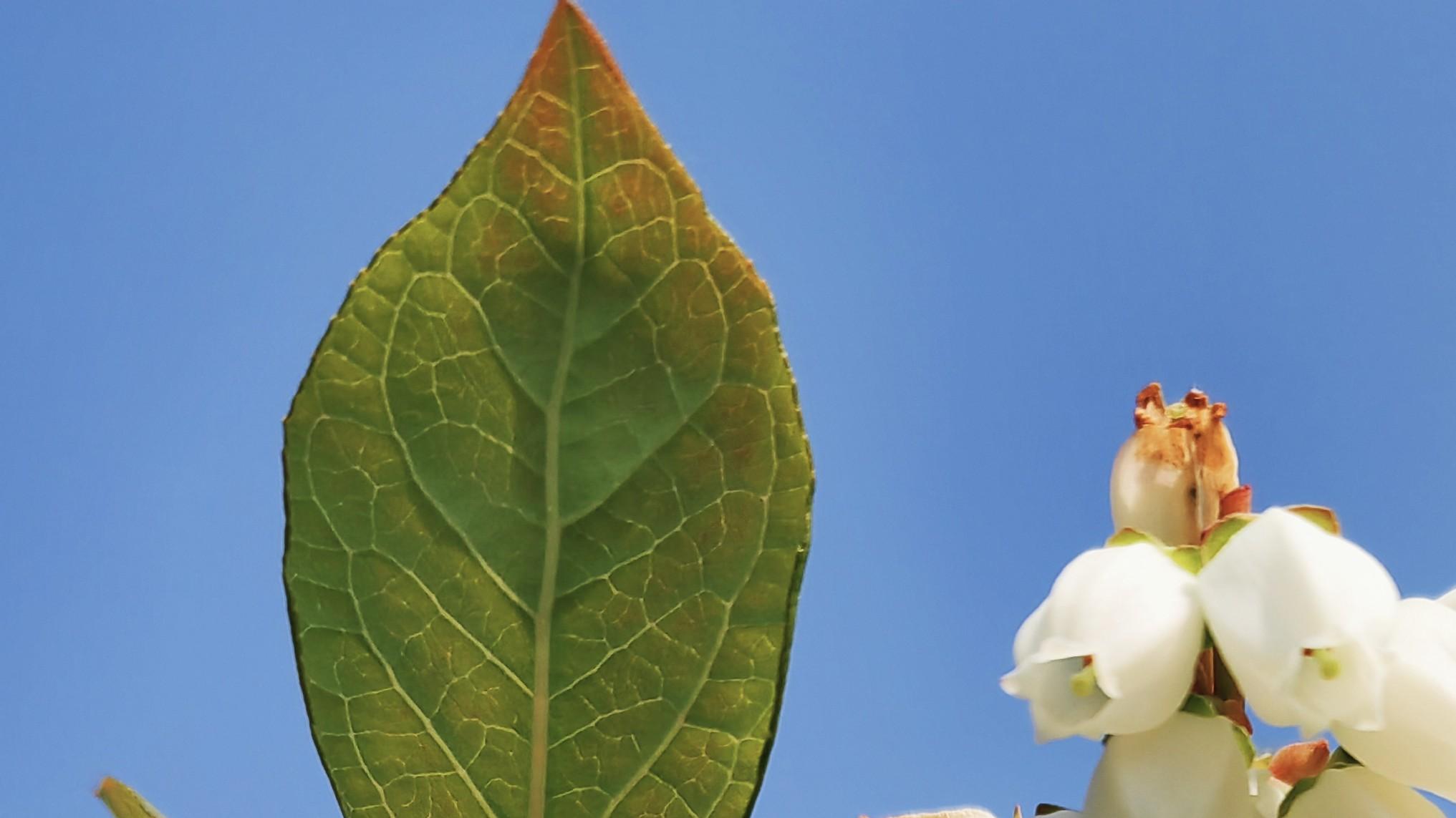 人在职场：竞合转换，如何自洽？