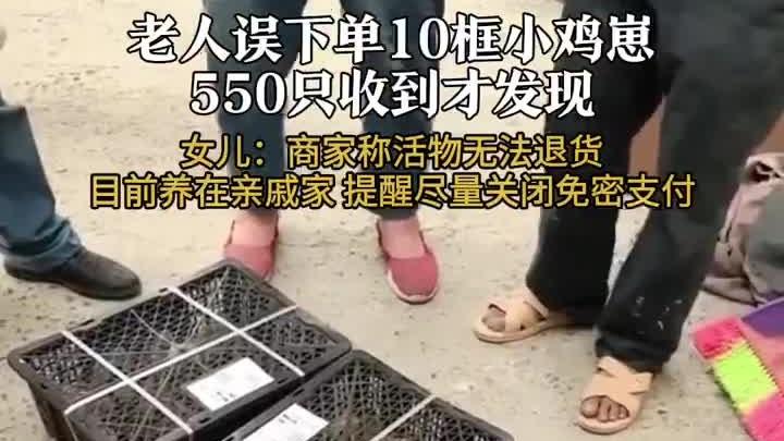 误点一下买 550 只鸡崽！科技便利背后的温情缺失，该如何弥补？