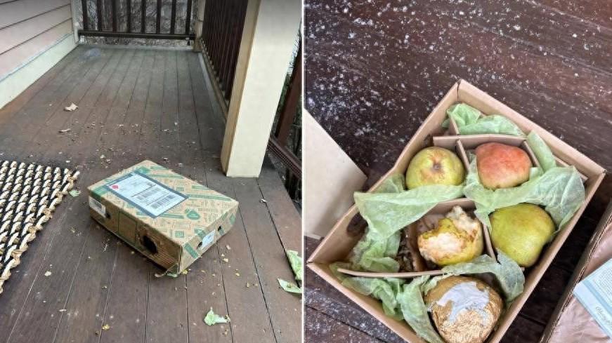 只有中国人敢杀老鼠？西方老鼠占领老美首都，他们为什么不灭鼠？