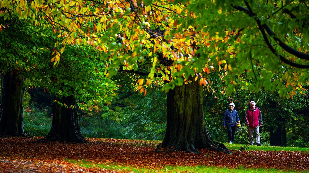 人生过半，少留遗憾